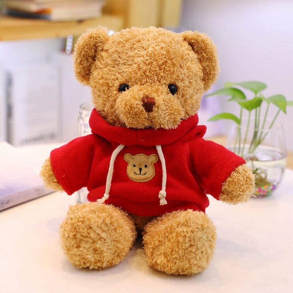 Cute brown teddy bear wearing a red hoodie with a bear face patch, sitting on a table beside a plant.