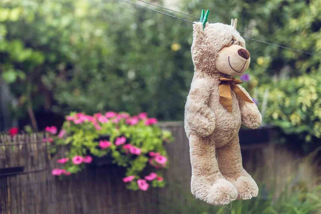 Soft teddy bear drying on clothesline outdoors