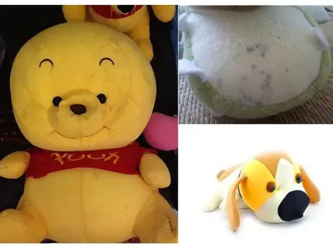 Three images showing worn or damaged plush toys: a yellow bear with visible discoloration, a plush toy with mold on the fabric, and a misshapen dog plush with collapsed structure.