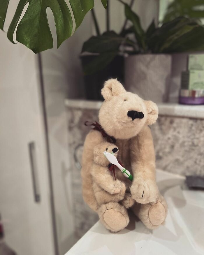 Two beige plush bears, one holding a toothbrush