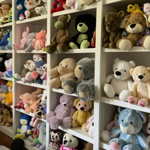 Various stuffed animals neatly arranged on white shelves in a room.