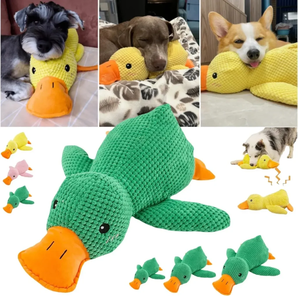 Dogs playing and resting with colorful green and yellow plush duck dog toys.