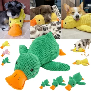 Dogs playing and resting with colorful green and yellow plush duck dog toys.