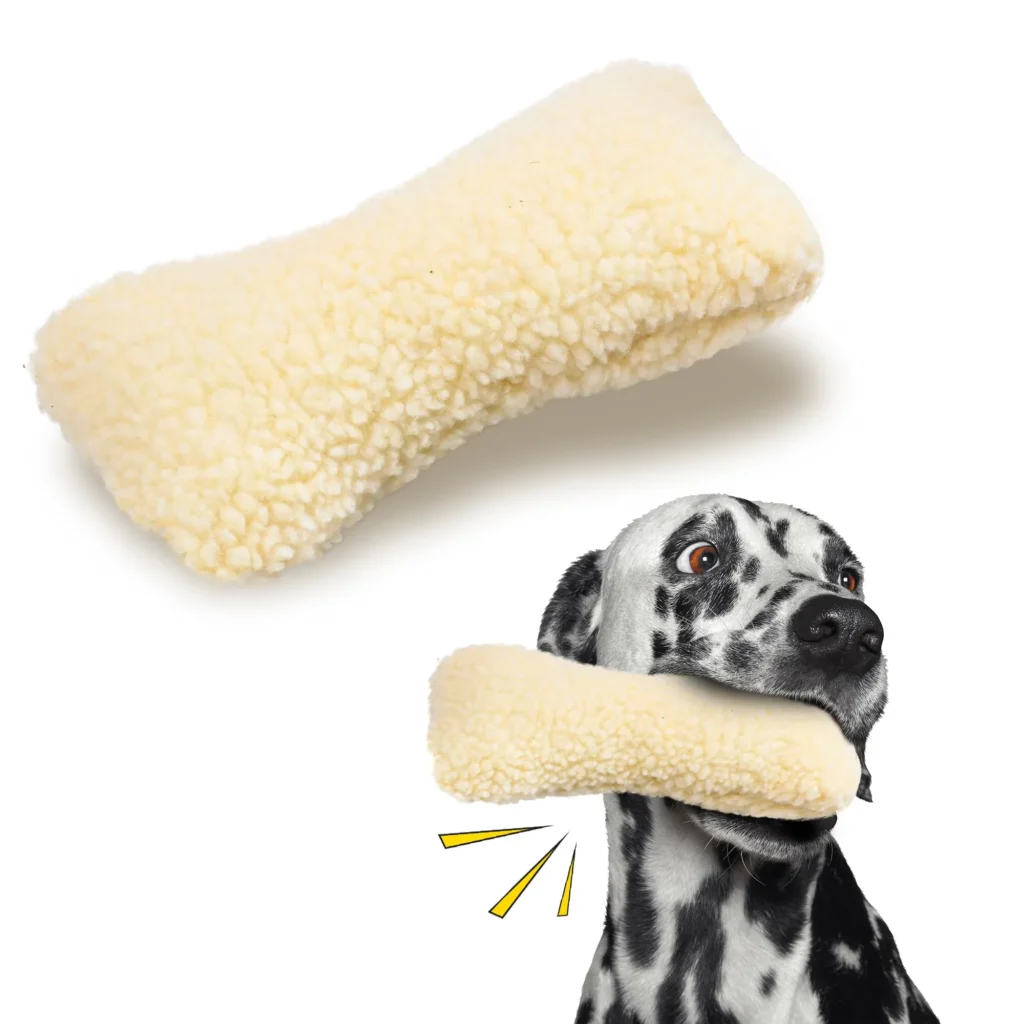 Dalmatian dog holding cream-colored plush chew toy in mouth on white background