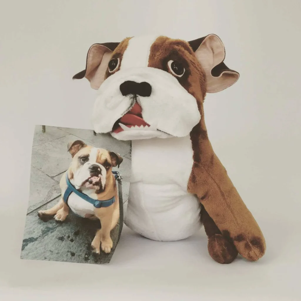 Brown and white bulldog plush holding photo of real bulldog on white background.