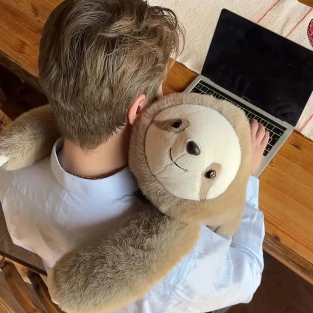 Person working with sloth plush hugging shoulders warmly