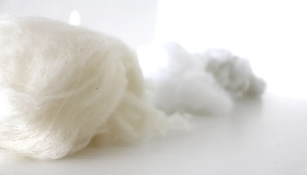 Stuffing materials like wool, polyester, and corn fiber arranged in a row on white background