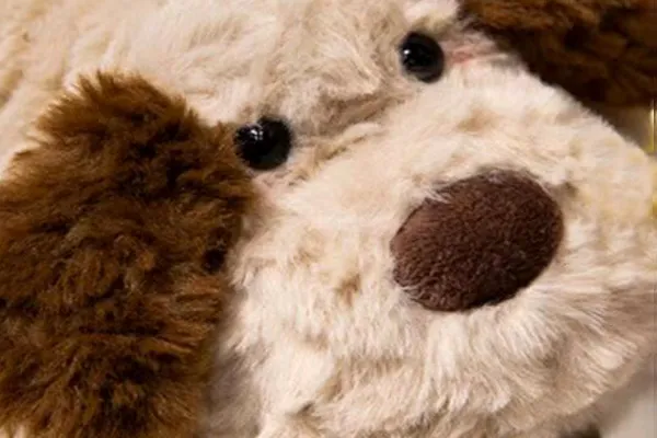 Soft plush toy face with brown ears and nose details.