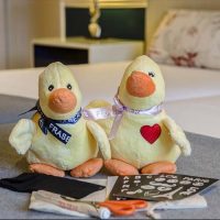 Hospitality and Hotel Amenities