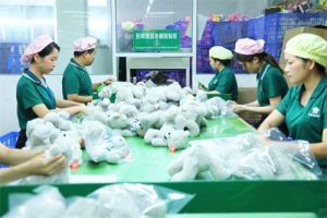 Plush toy factory undergoing CPSIA compliance audit